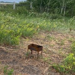 Кемпинг  Лес, Курганская область