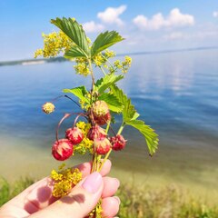 Гостевой дом Актуши, Самарская область