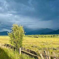 Глэмпинг Уймон-Парк, Республика Алтай