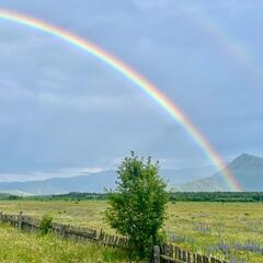 Глэмпинг Уймон-Парк, Республика Алтай