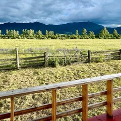 Глэмпинг Уймон-Парк, Республика Алтай