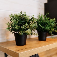 Гостевой дом Shantivillas, Республика Карачаево-Черкесия 