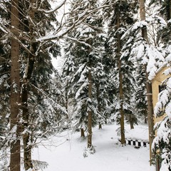 Гостевой дом Shantivillas, Республика Карачаево-Черкесия 