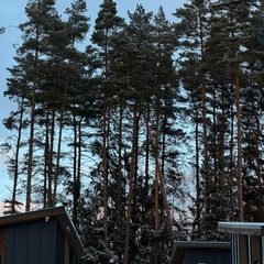 Глэмпинг Sherwood, Московская область