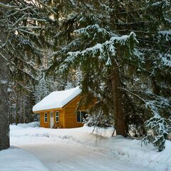 Глэмпинг Sherwood, Московская область