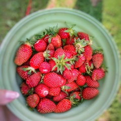 Гостевой дом Джиговая Дача, Татарстан