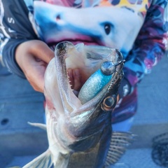 Гостевой дом Джиговая Дача, Татарстан