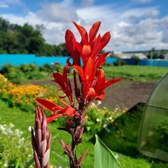 Гостевой дом Джиговая Дача, Татарстан