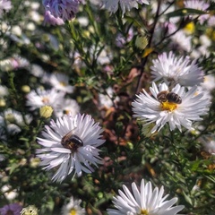 Гостевой дом Джиговая Дача, Татарстан