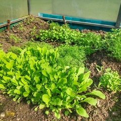 Гостевой дом Джиговая Дача, Татарстан