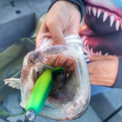 Гостевой дом Джиговая Дача, Татарстан