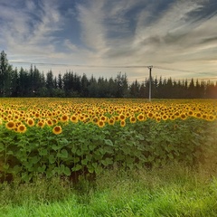 Гостевой дом Джиговая Дача, Татарстан