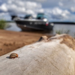 Гостевой дом Джиговая Дача, Татарстан