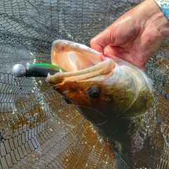 Гостевой дом Джиговая Дача, Татарстан