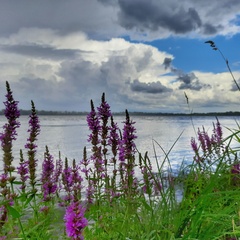 Гостевой дом Джиговая Дача, Татарстан