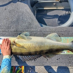 Гостевой дом Джиговая Дача, Татарстан