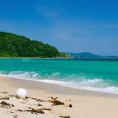 Кемпинг  Snitko.Camp, Приморский край