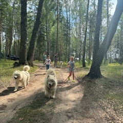 База отдыха Щукино, Нижегородская область