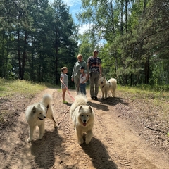 База отдыха Щукино, Нижегородская область