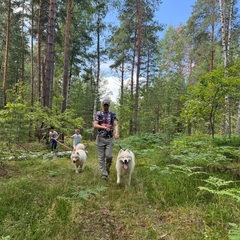 База отдыха Щукино, Нижегородская область