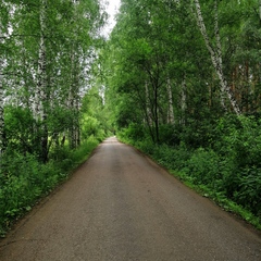 Гостевой дом Дача интроверта, Челябинская область