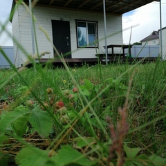 Гостевой дом Дача интроверта, Челябинская область