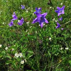 Гостевой дом Дача интроверта, Челябинская область