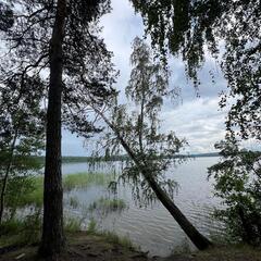 Гостевой дом Дача интроверта, Челябинская область