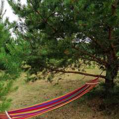 Гостевой дом Дача интроверта, Челябинская область