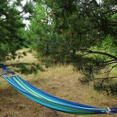 Гостевой дом Дача интроверта, Челябинская область