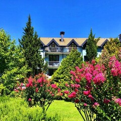Апартаменты Saltykov Agoy Resort, Краснодарский край