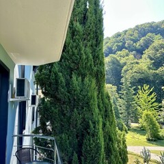 Апартаменты Saltykov Agoy Resort, Краснодарский край