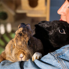 База отдыха Барские поля, Московская область