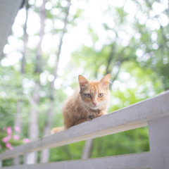 Оздоровительный комплекс Драйв Парк, Крым