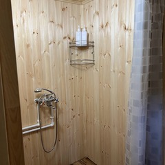 Загородный дом под соснами, Челябинская область