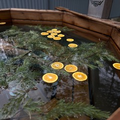 Загородный дом под соснами, Челябинская область