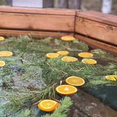 Загородный дом под соснами, Челябинская область