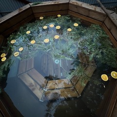 Загородный дом под соснами, Челябинская область