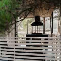 Загородный дом под соснами, Челябинская область