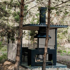 Загородный дом под соснами, Челябинская область