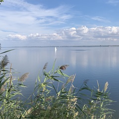 База отдыха Dacha feel good, Волгоградская область