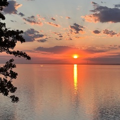 База отдыха Dacha feel good, Волгоградская область