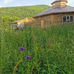 База отдыха Таёжная туристская база отдыха Хозяин тайги, Забайкальский край