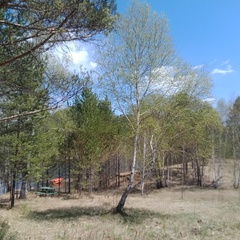 База отдыха Таёжная туристская база отдыха Хозяин тайги, Забайкальский край