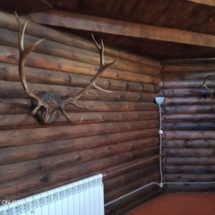 База отдыха Таёжная туристская база отдыха Хозяин тайги, Забайкальский край