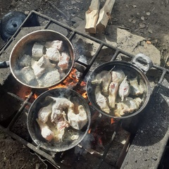 База отдыха Таёжная туристская база отдыха Хозяин тайги, Забайкальский край