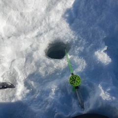 База отдыха Таёжная туристская база отдыха Хозяин тайги, Забайкальский край