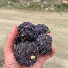 База отдыха Таёжная туристская база отдыха Хозяин тайги, Забайкальский край