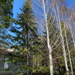 Эко-отель Бобры, Свердловская область