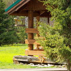 Эко-отель Таловское, Бугульдейка, Иркутская область